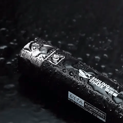 2 en 1 Lampe Torche Batterie Externe